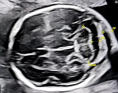 Dott.ssa Nadia Fichera, Medico di base