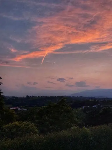Dott.ssa Giulia Granzotto