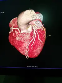 Dott.ssa Roberta Antonazzo Panico, Medico di base