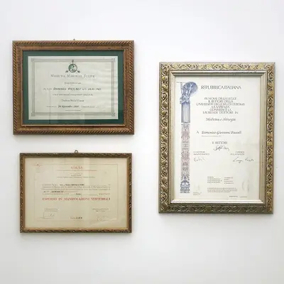 Pascali Dr. Domenico Giovanni