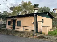 Dott.ssa Rosaria Bruno