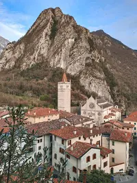 Dr. gemona del friuli