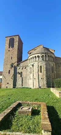 Dott.ssa Martina Fratarcangeli