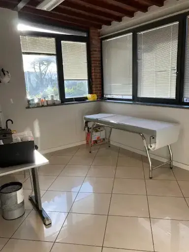 Dott.ssa Giulia Tincani