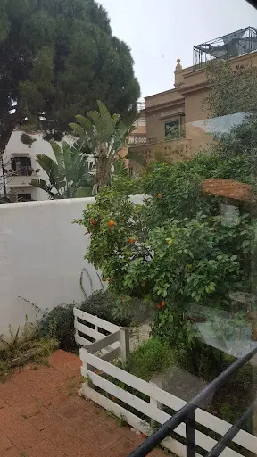 Muratori Dr. Rosalba
