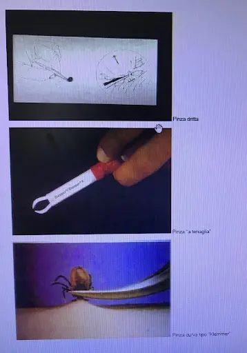 Ambulatorio Medico Chirurgo dottor Corrado Paolizzi