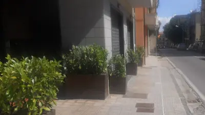Dott.ssa Trofa Giuseppina