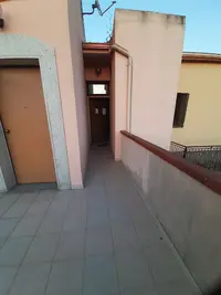 Garau Dr. Bruno