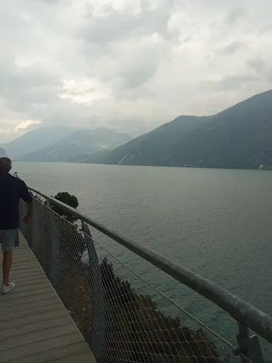 Medico di base