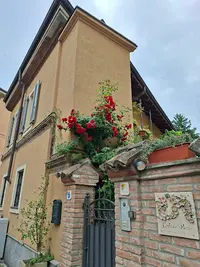Dott.ssa Martina Guglielmetti