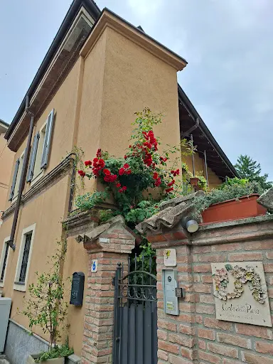 Dott.ssa Martina Guglielmetti